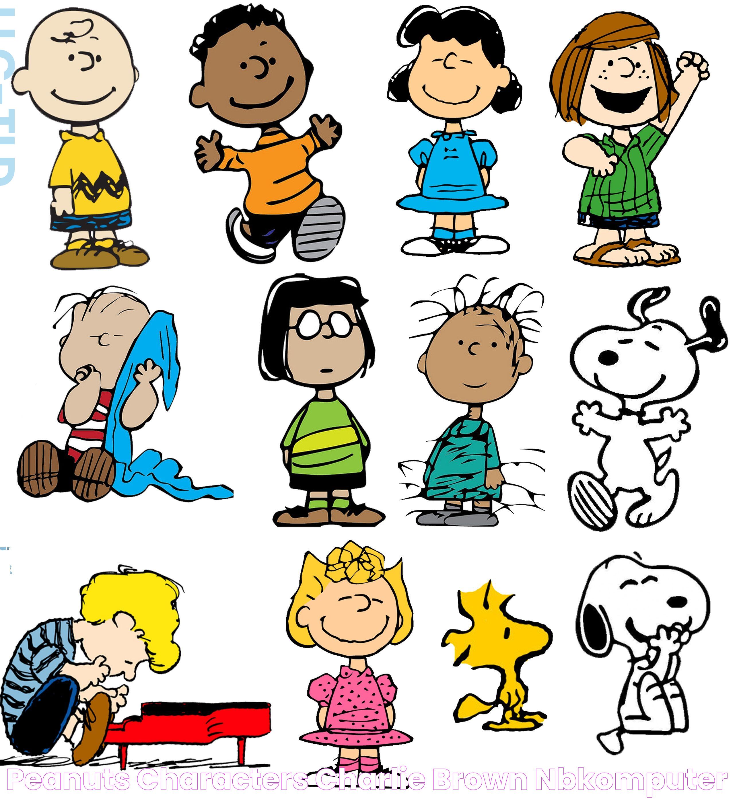 Peanuts Characters Charlie Brown NBKomputer