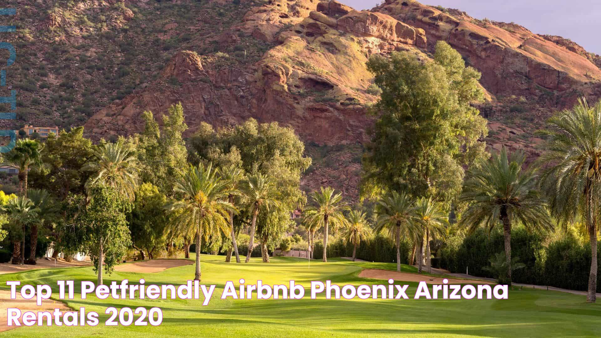 Top 11 PetFriendly Airbnb Phoenix Arizona Rentals 2020