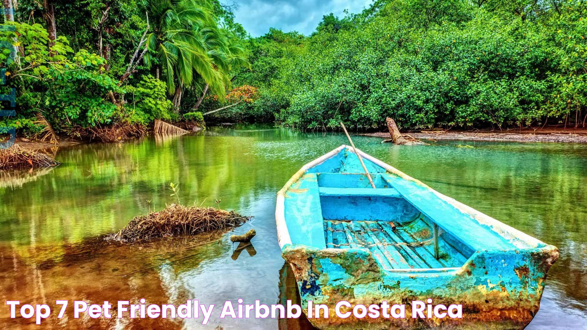 Top 7 Pet Friendly Airbnb in Costa Rica