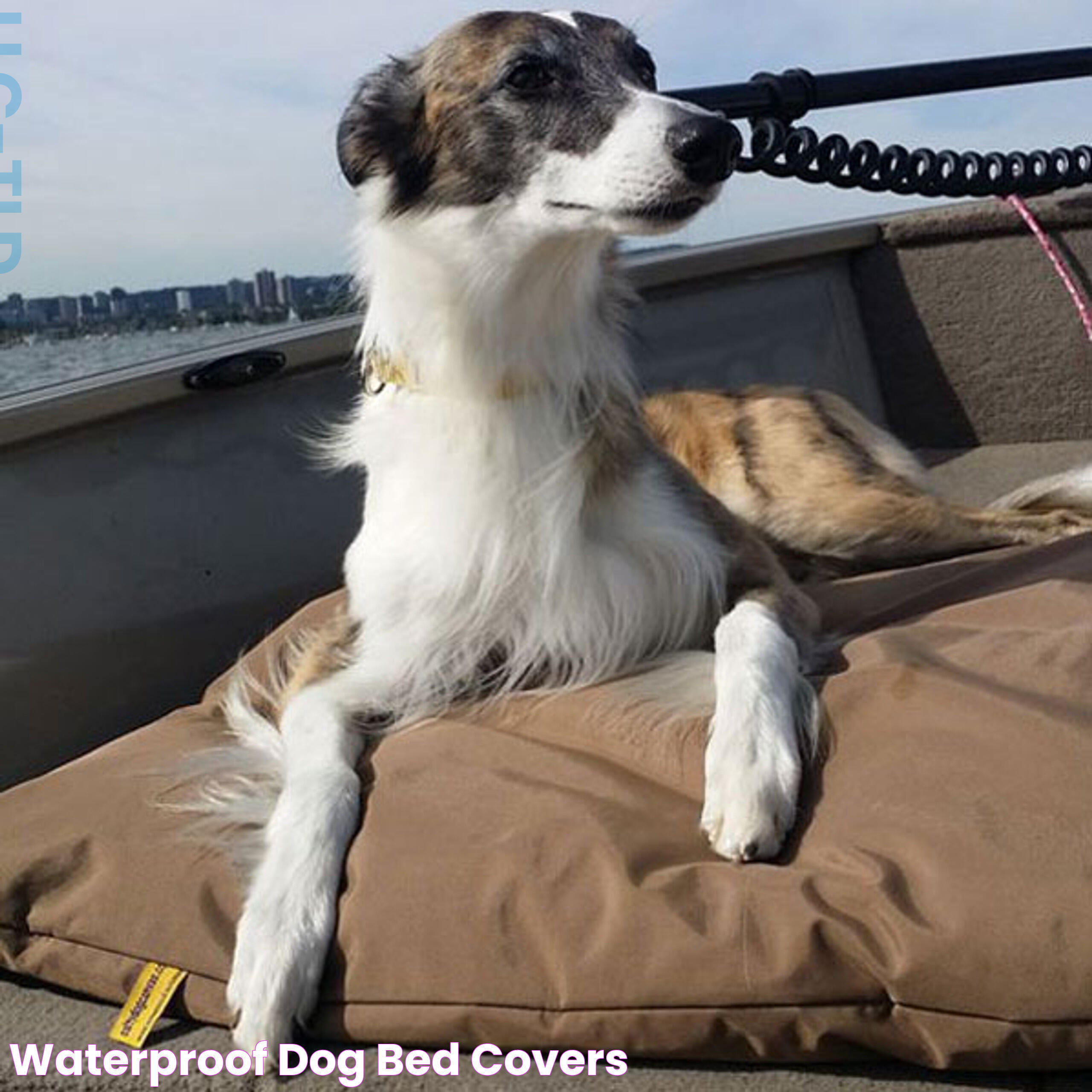 Waterproof Dog Bed Covers