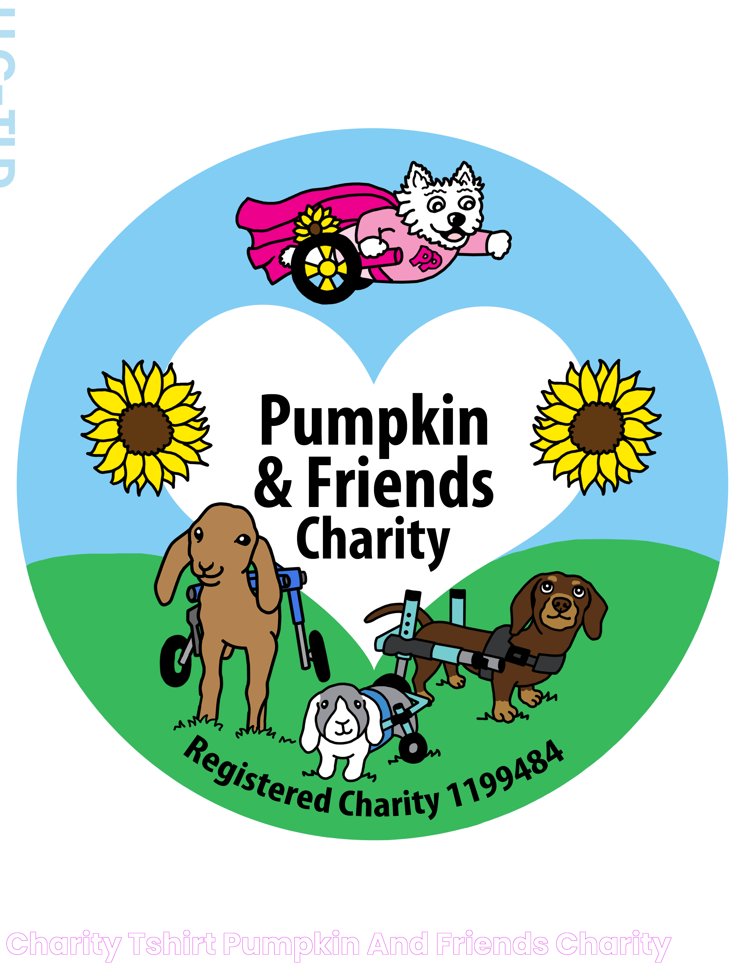 Charity Tshirt Pumpkin and Friends Charity