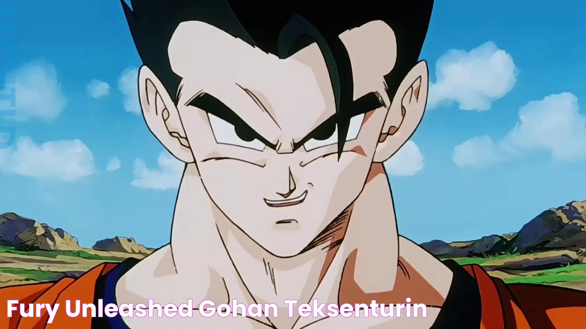 Fury unleashed gohan teksenturin