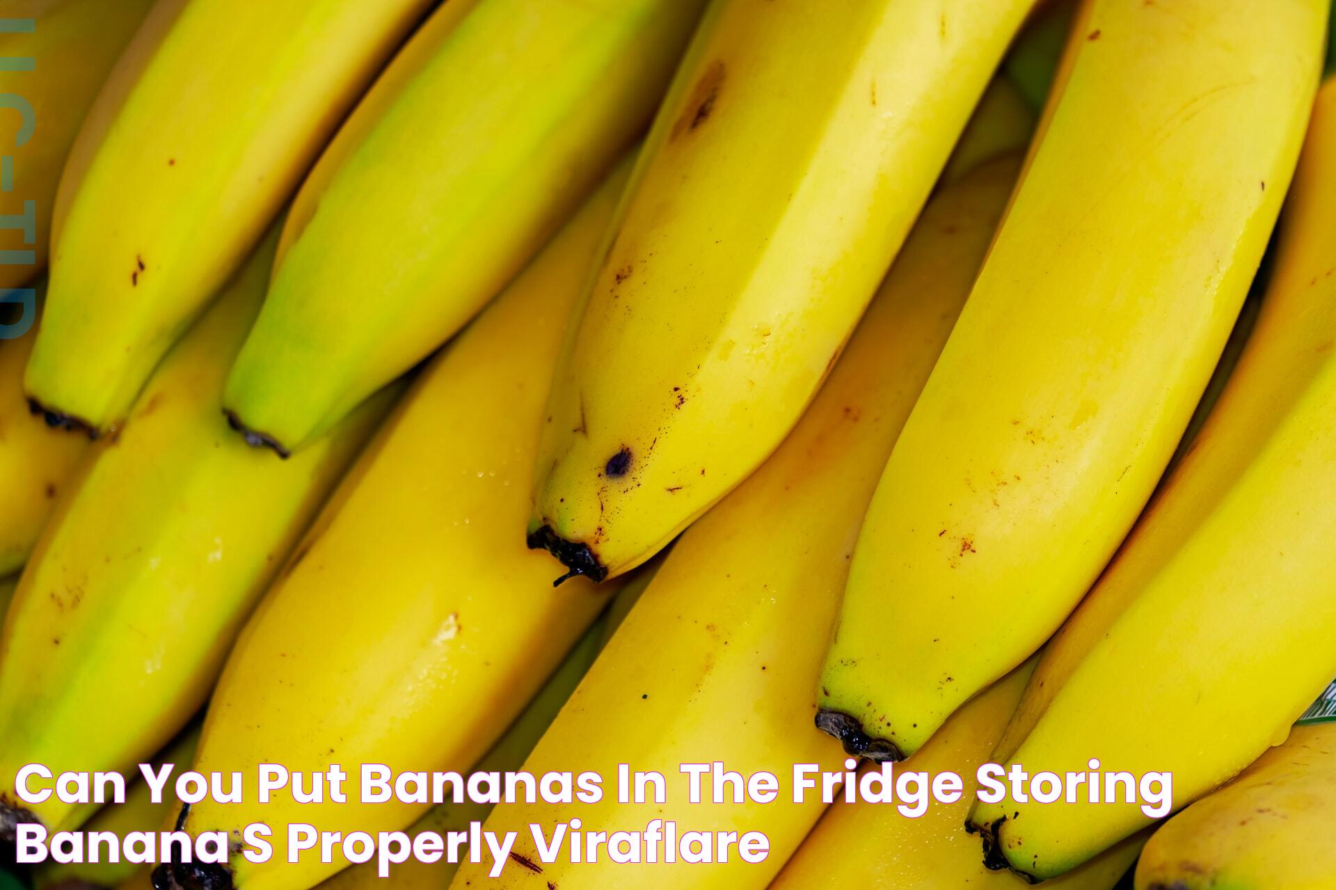 Can You Put Bananas In The Fridge Storing Banana's Properly Viraflare