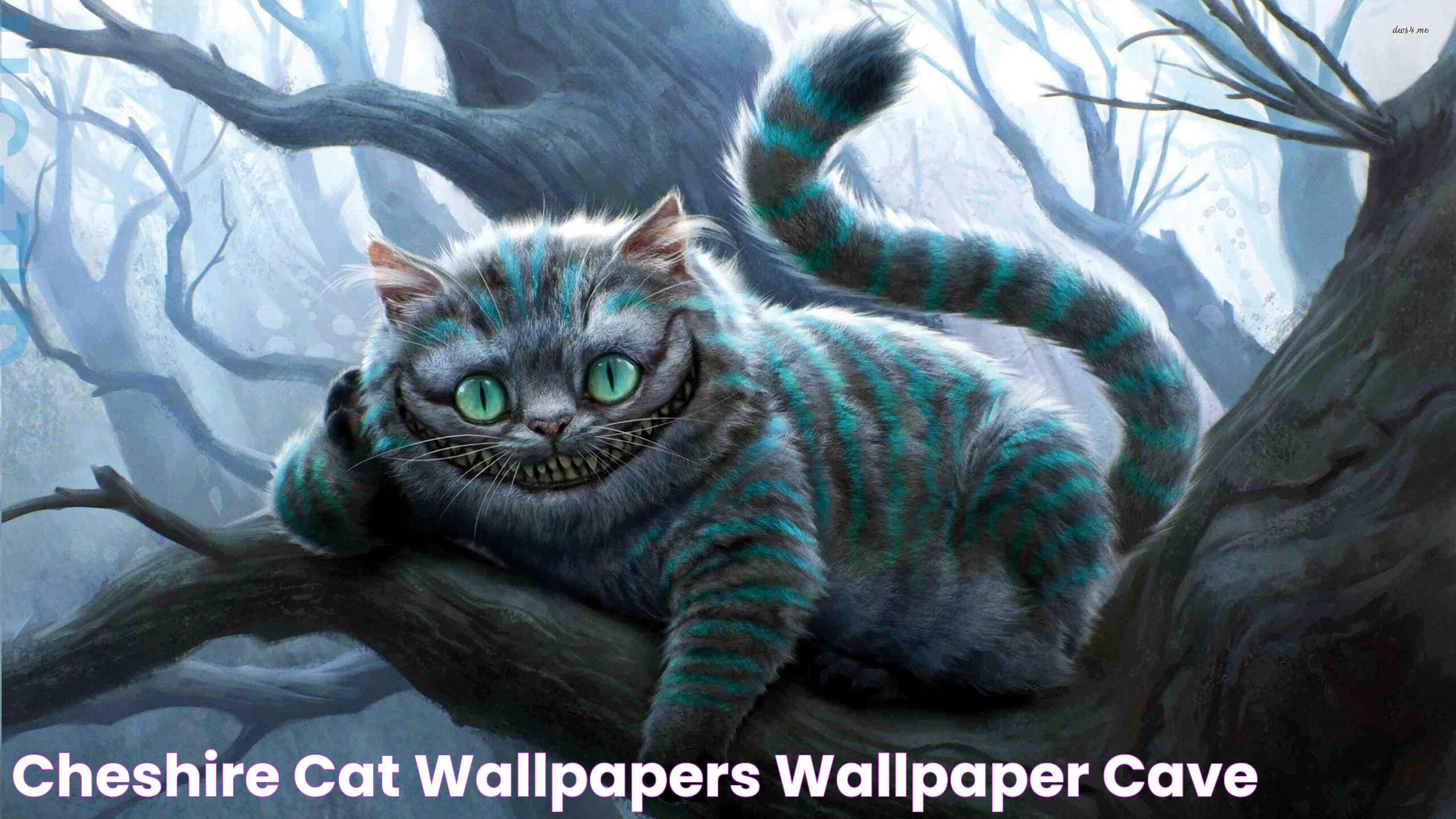 Cheshire Cat Wallpapers Wallpaper Cave