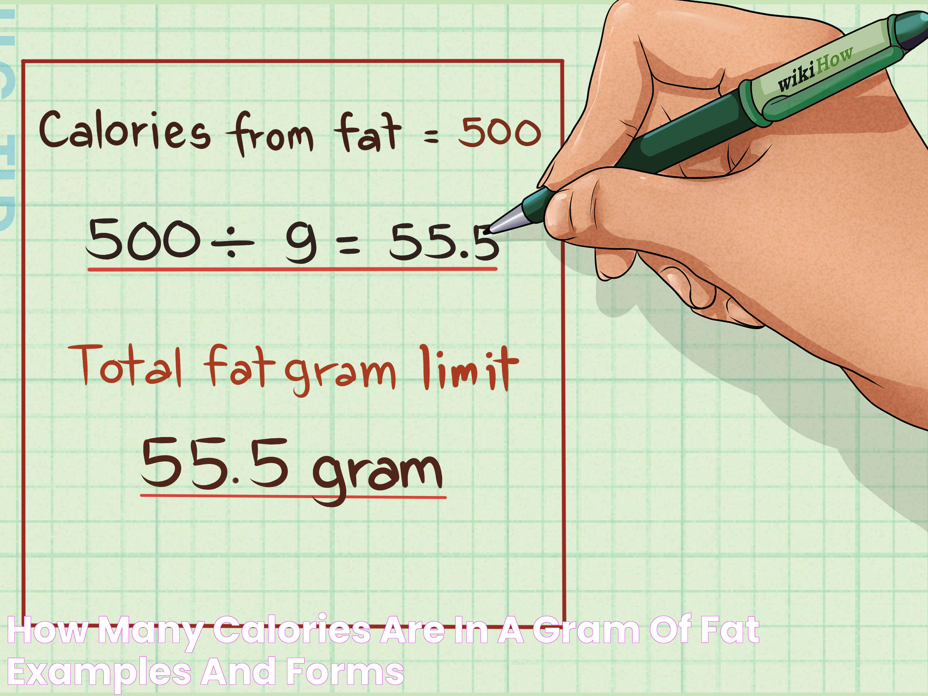 How Many Calories Are In A Gram Of Fat Examples and Forms