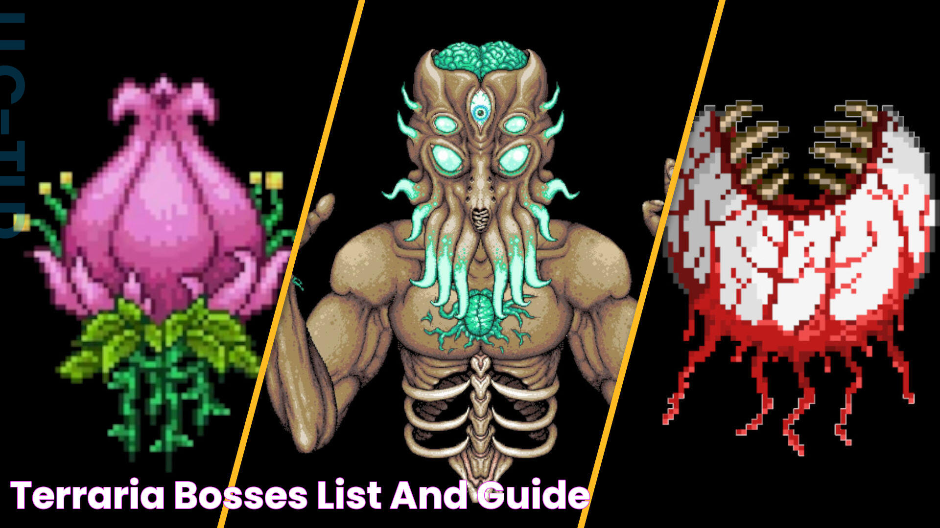 Terraria bosses list and guide