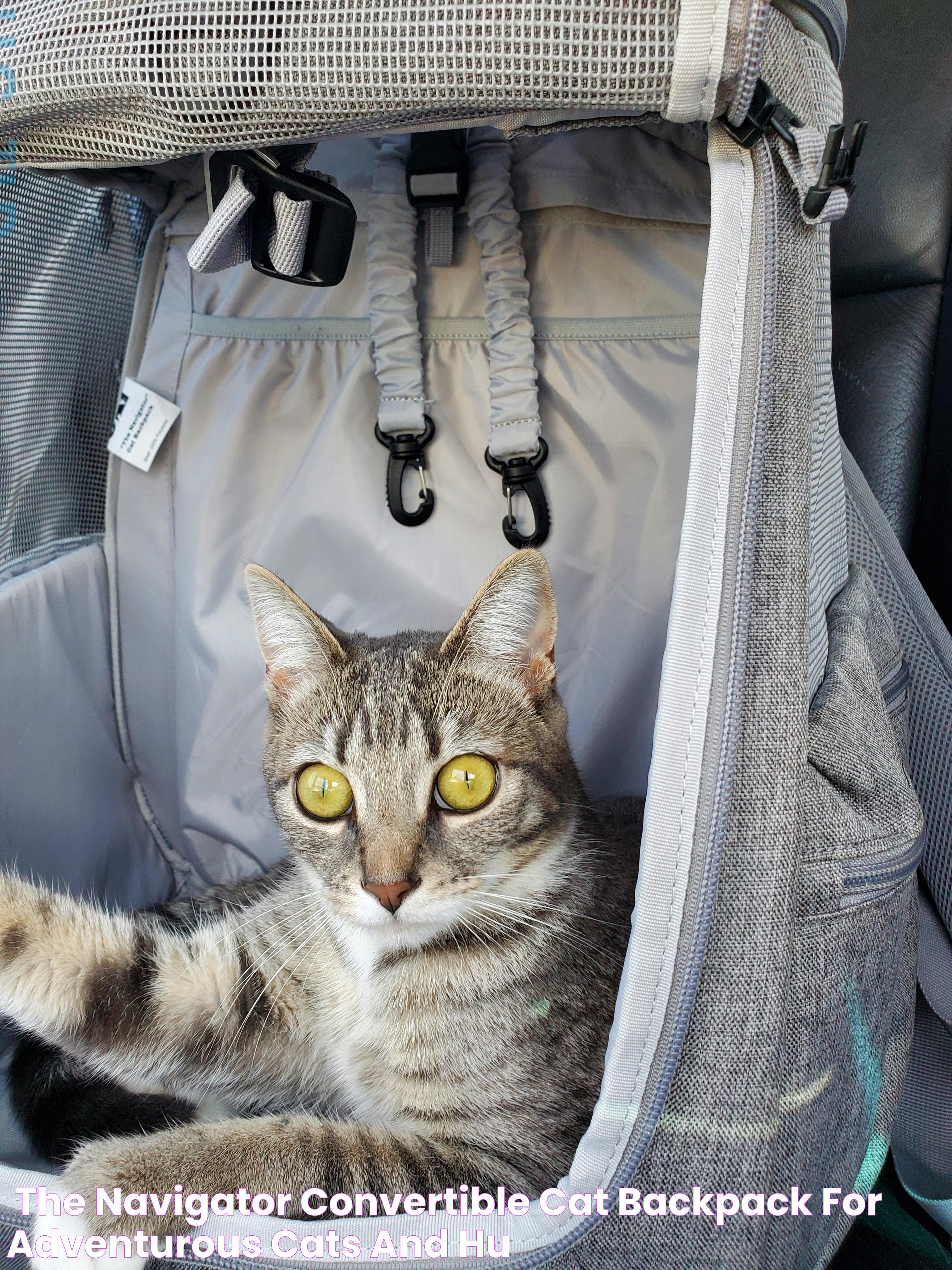 "The Navigator" Convertible Cat Backpack For Adventurous Cats and Hu