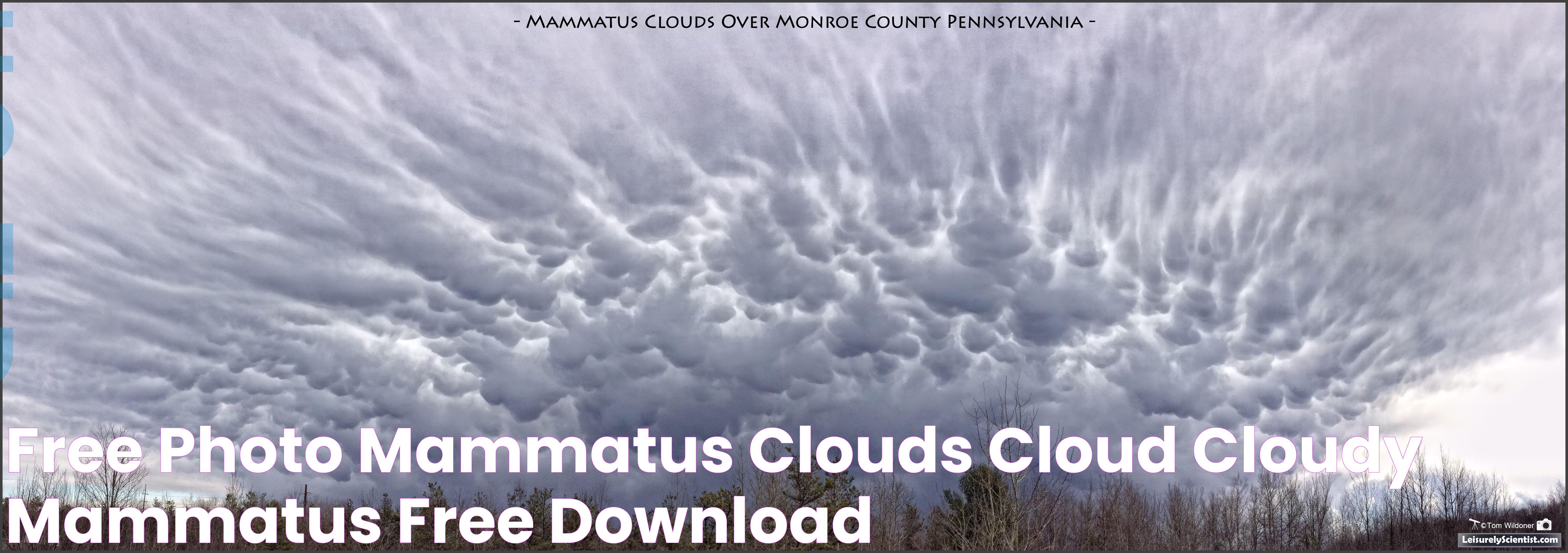 Free photo Mammatus Clouds Cloud, Cloudy, Mammatus Free Download