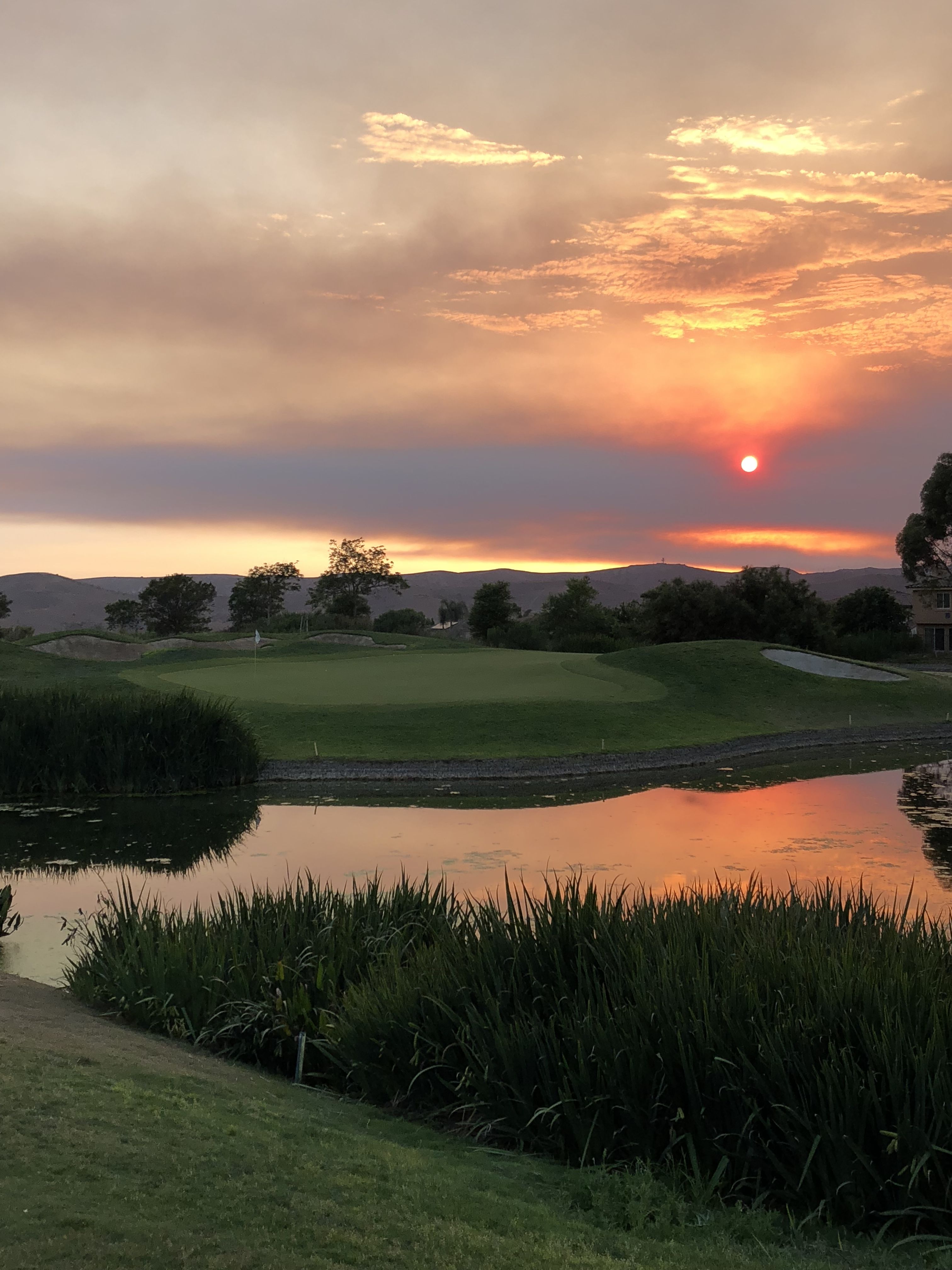 Arrowood Golf Course Golf photography, Golf gloves, Golf art