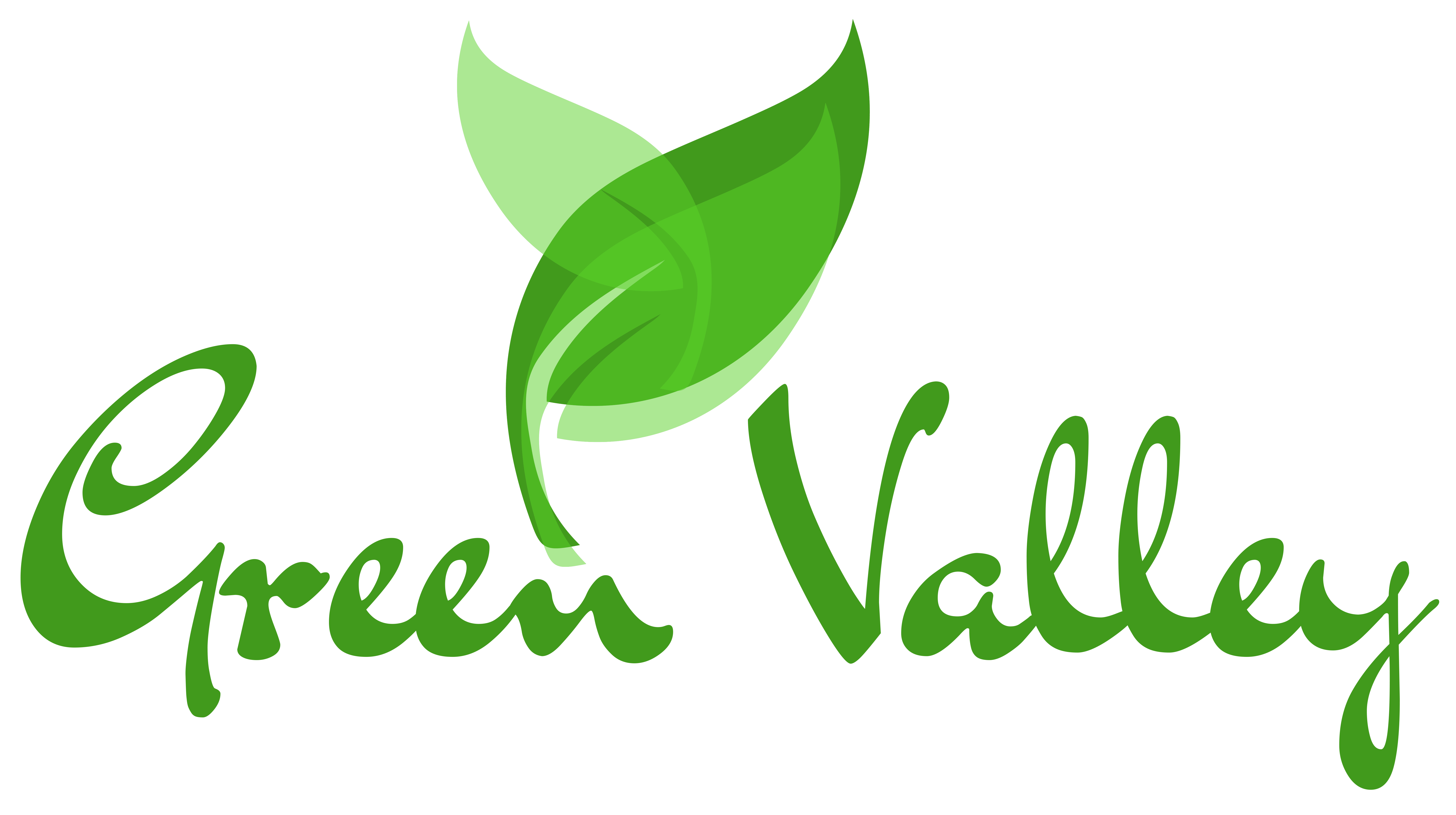 Green Valley Spices Supplier