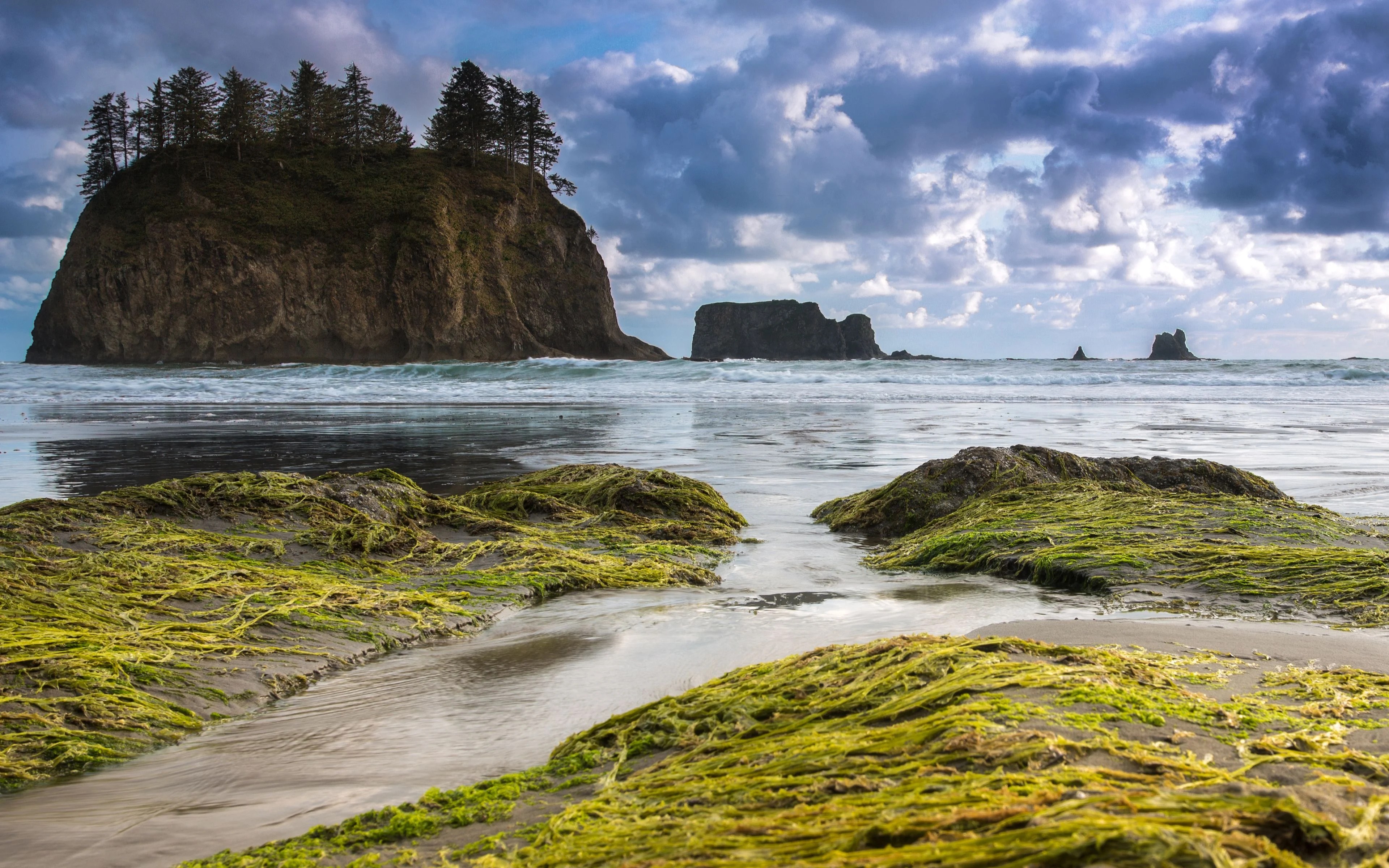 Olympic National Park Wallpapers Wallpaper Cave