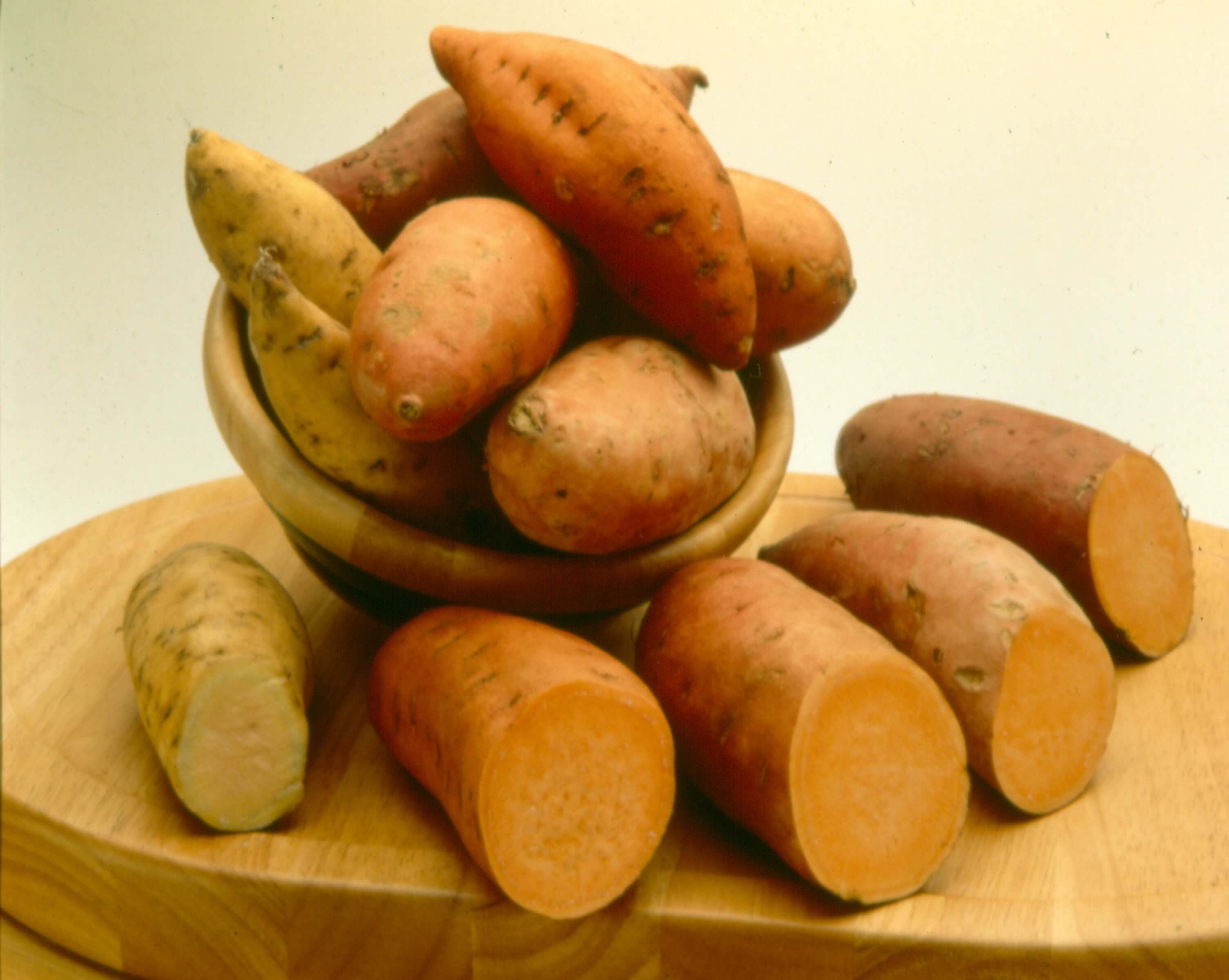 How to Grow Sweet Potatoes North Carolina Sweet PotatoesNorth