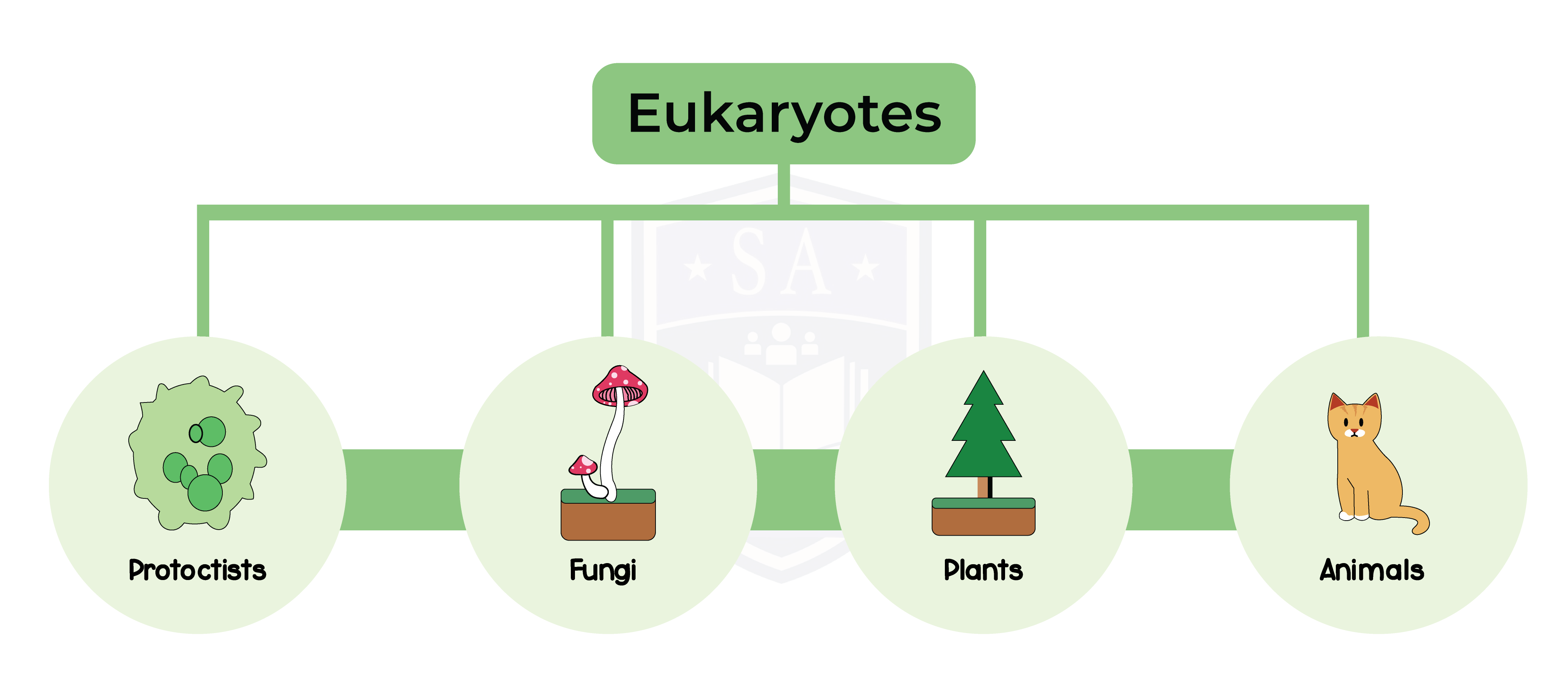 IGED_BIO_TOPIC2_001_Eukaryotes Studia Academy Resources