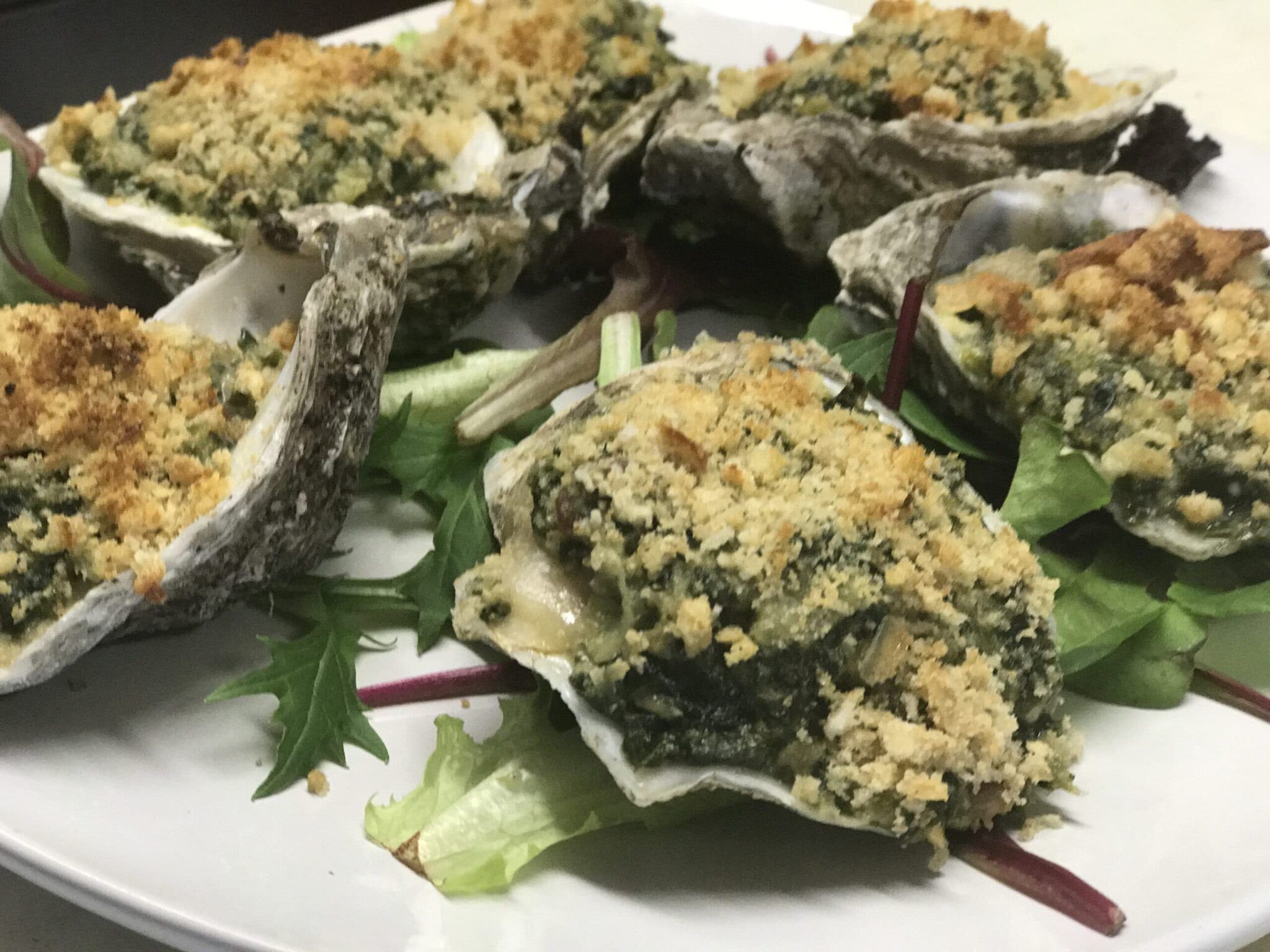 Oysters Rockefeller CoveSurfandTurf