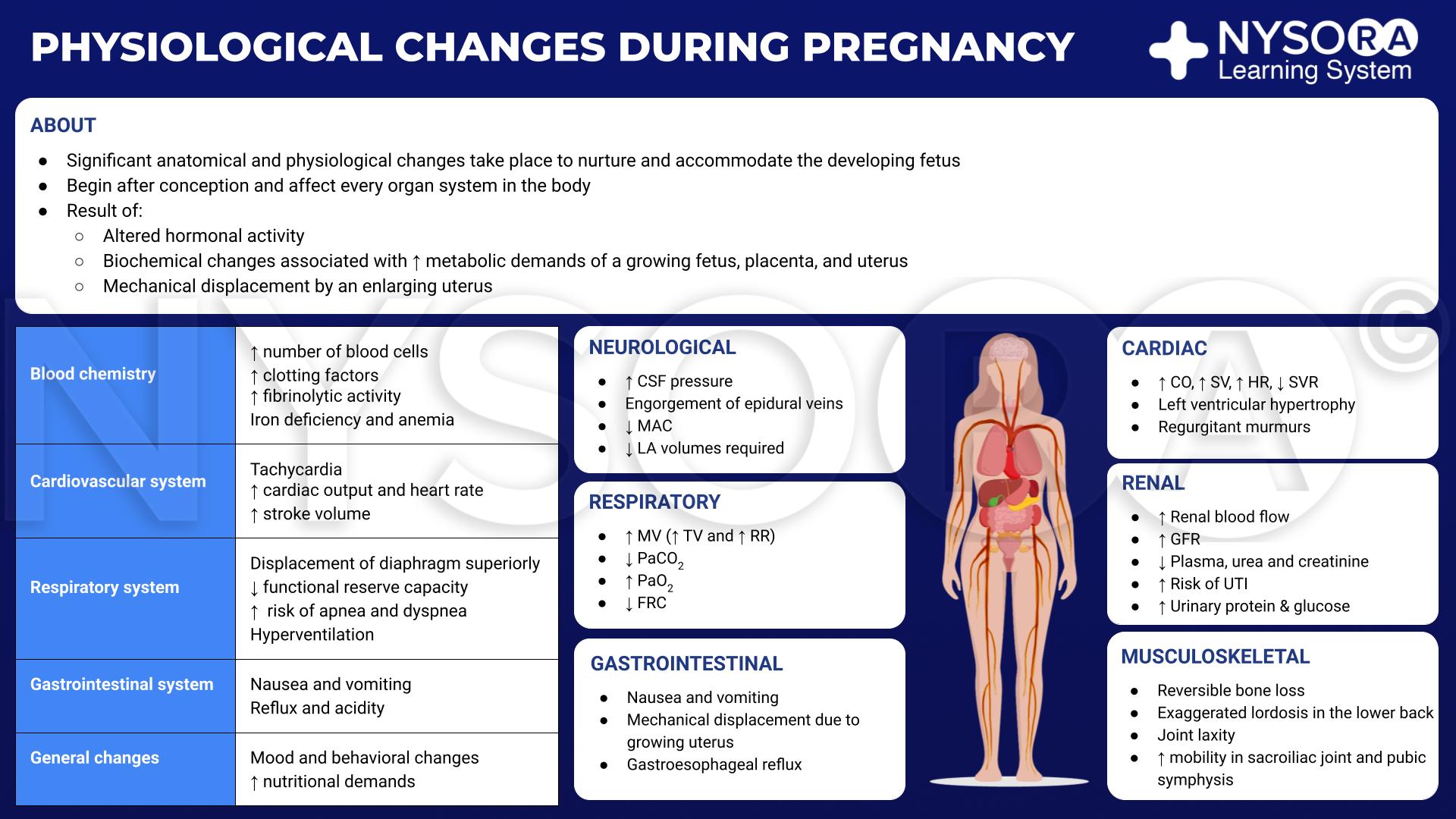 Physiologic changes of pregnancy.pptx NYSORA NYSORA