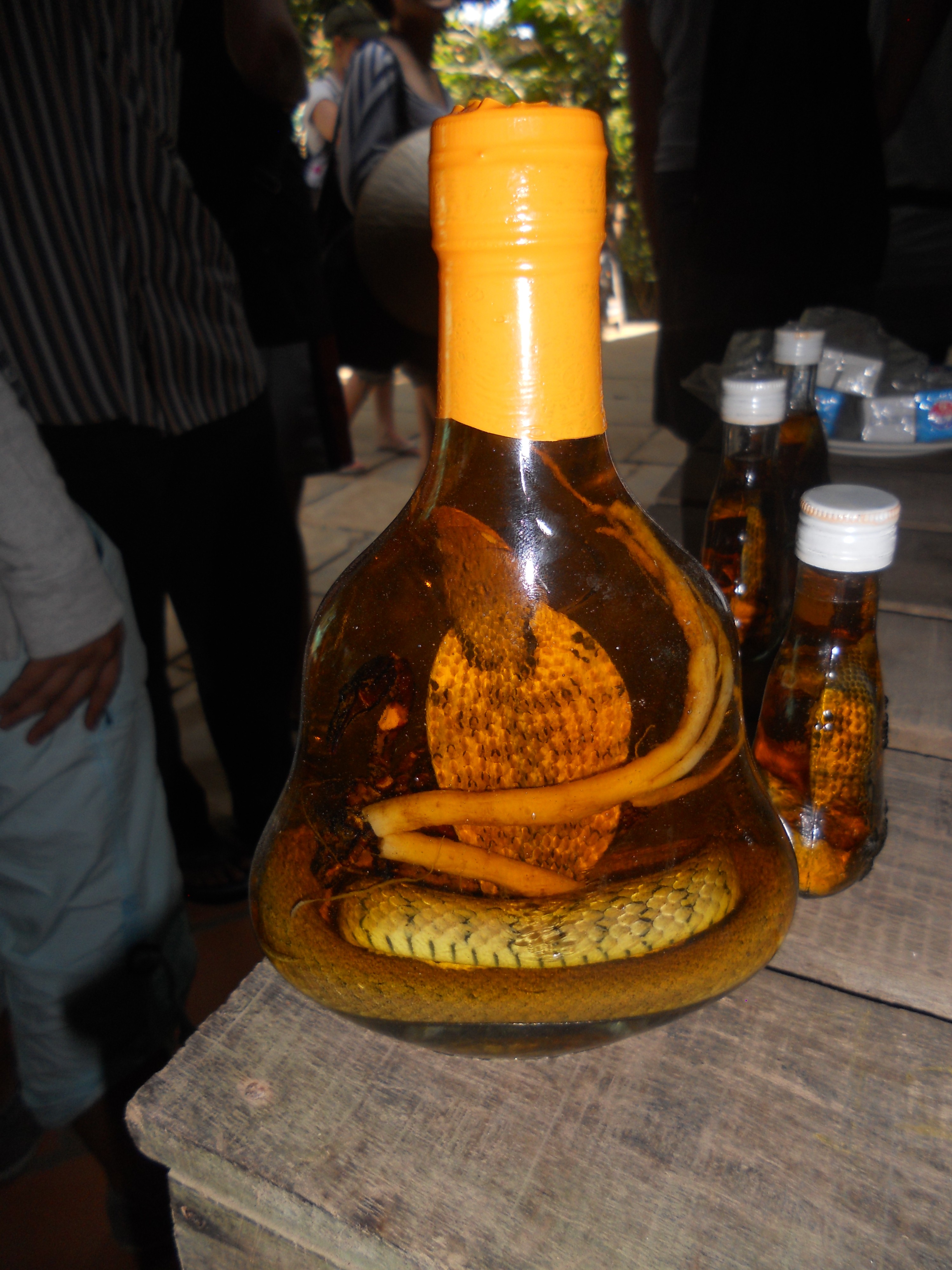 snake wine Adventuring on Aurora