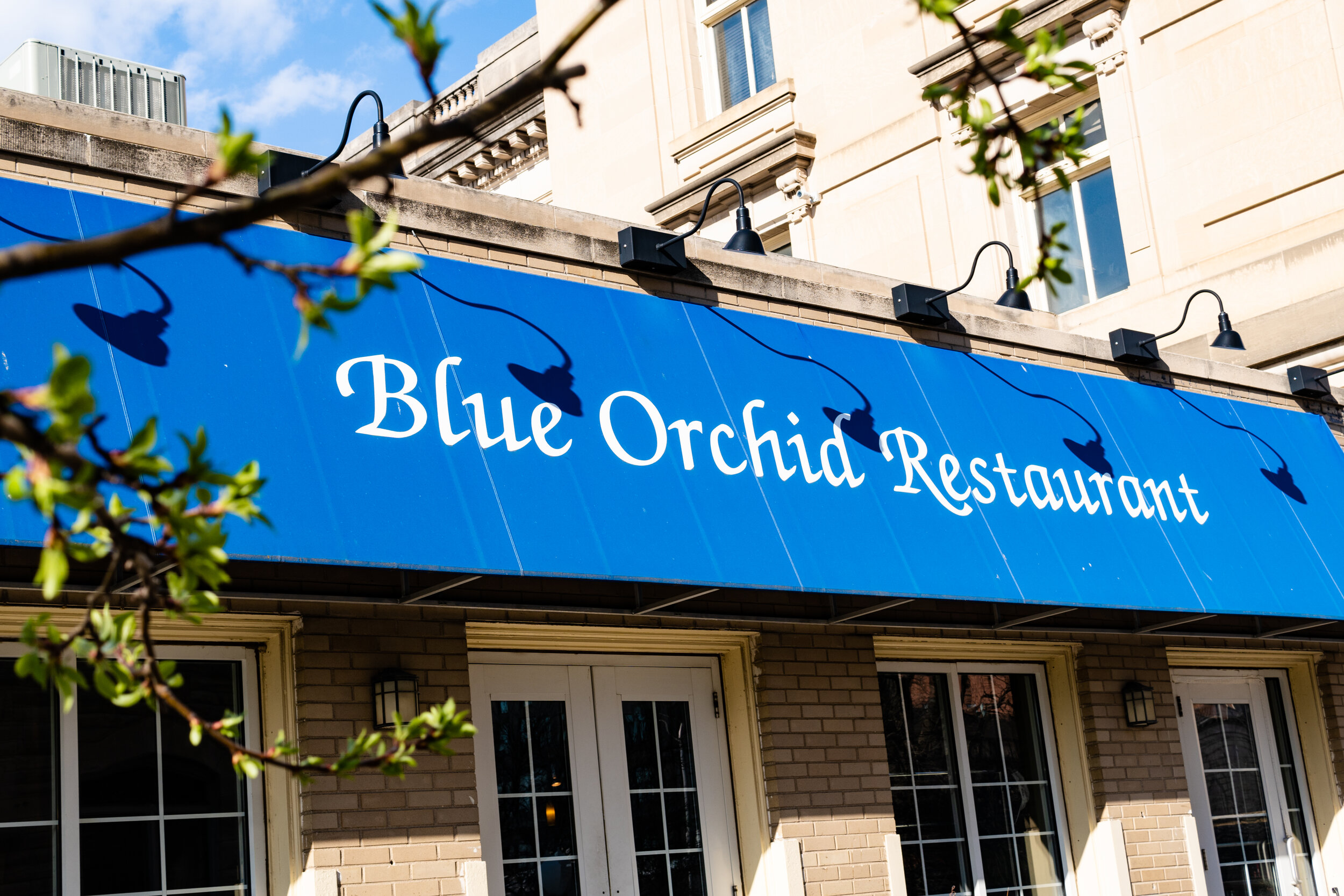 Blue Orchid Restaurant