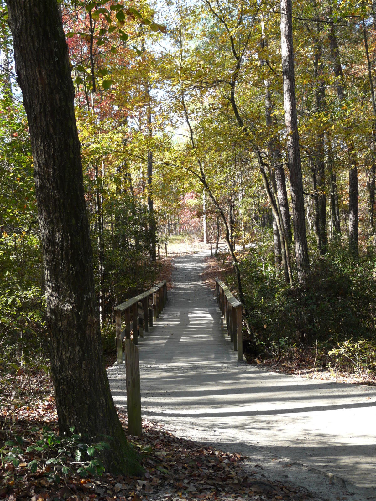 Lake Rim Park