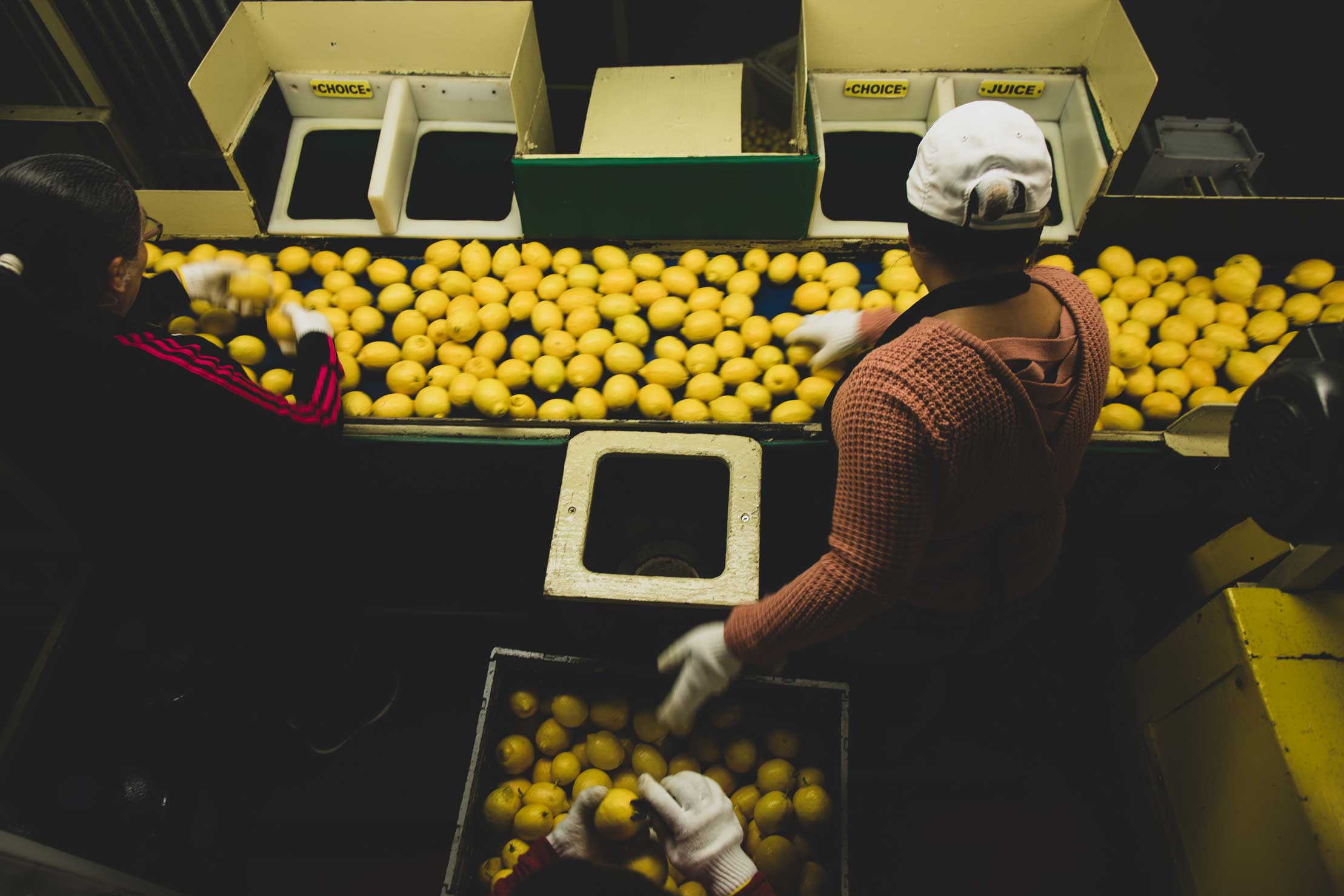 California Citrus Mutual Voice of the California Citrus Grower